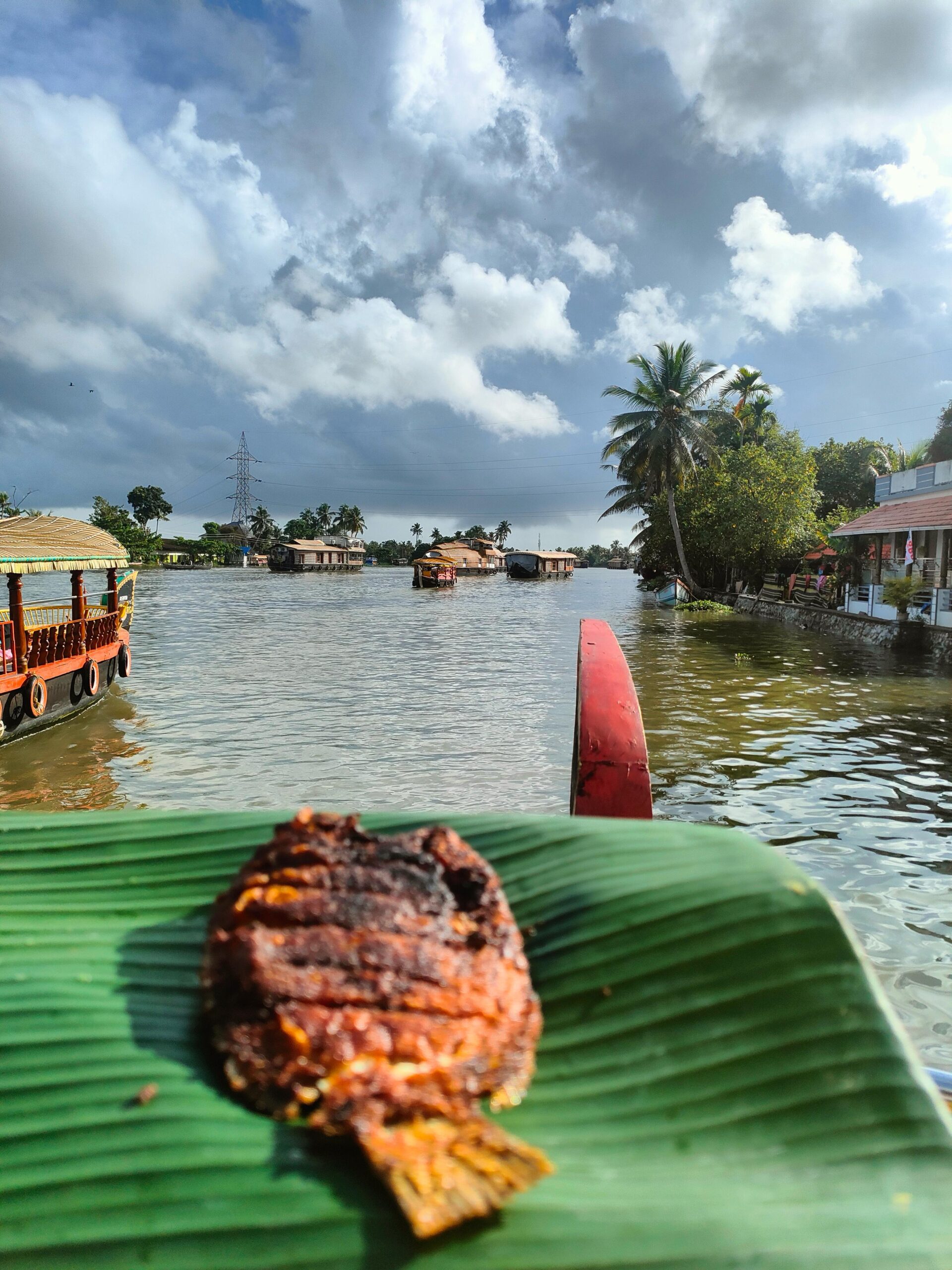 Backwaters & Wildlife