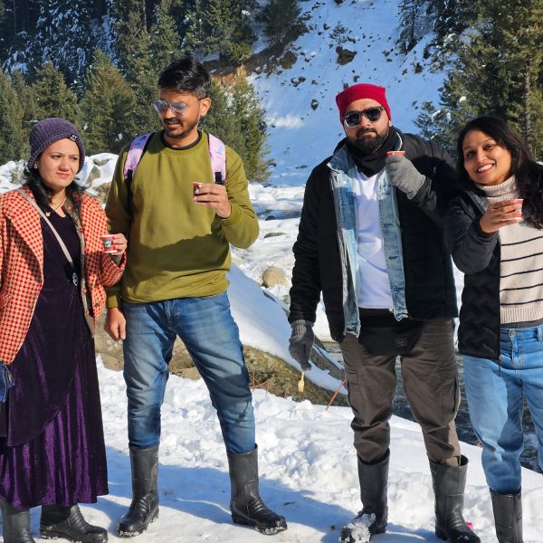Destiny Holidays Kashmir photo 6
