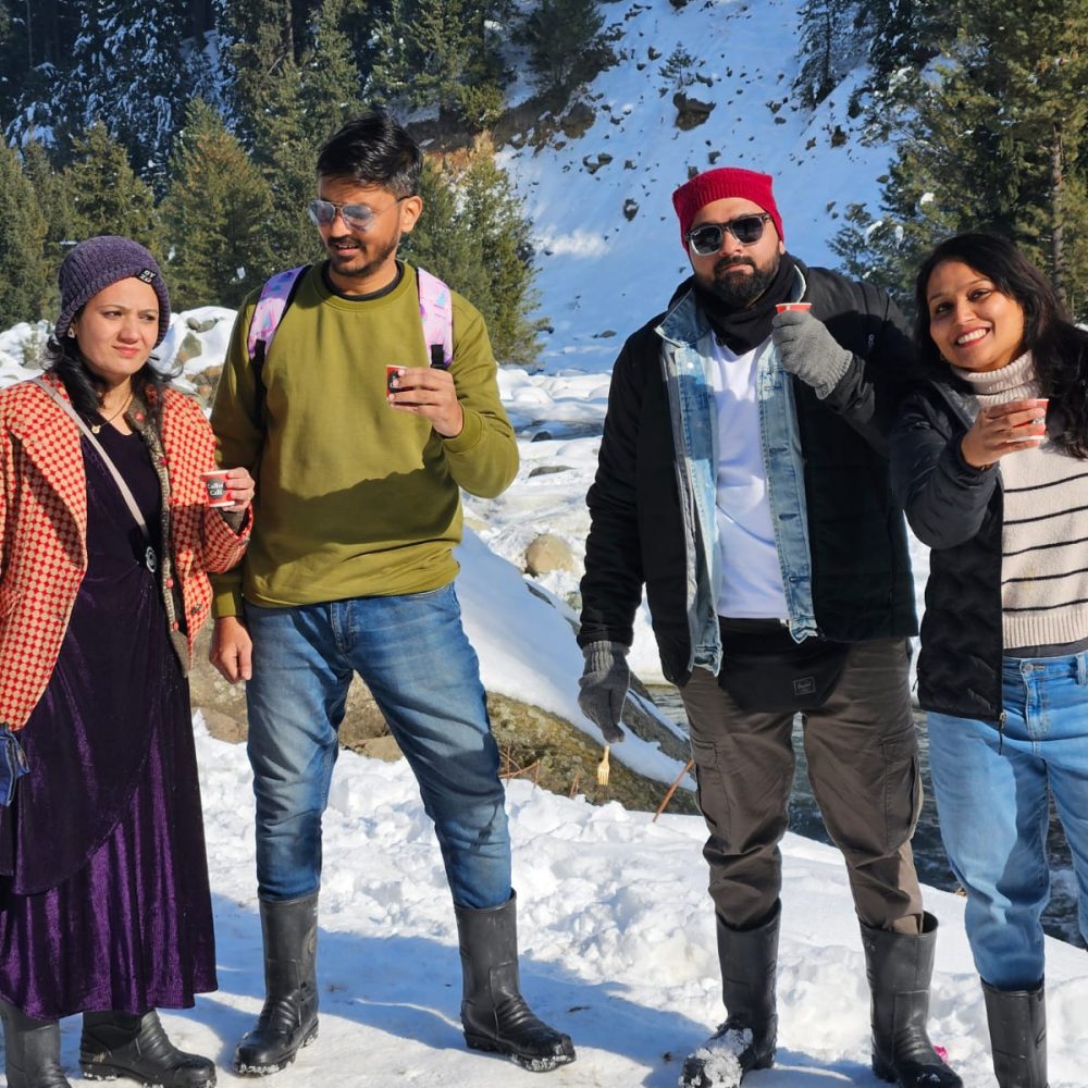 Destiny Holidays Kashmir photo 6